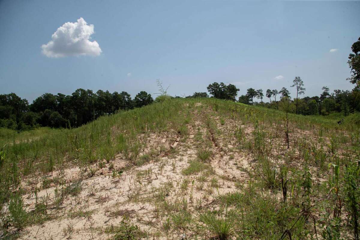 ‘An audacious idea’ Construction begins on Memorial Park land bridge