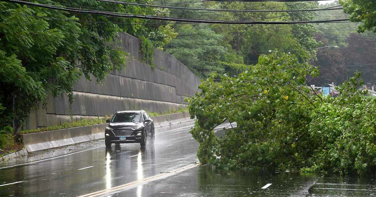 A motorist passes by a fallen tree on Long Ridge Road on August 4, 2020 in Stamford, Connecticut.