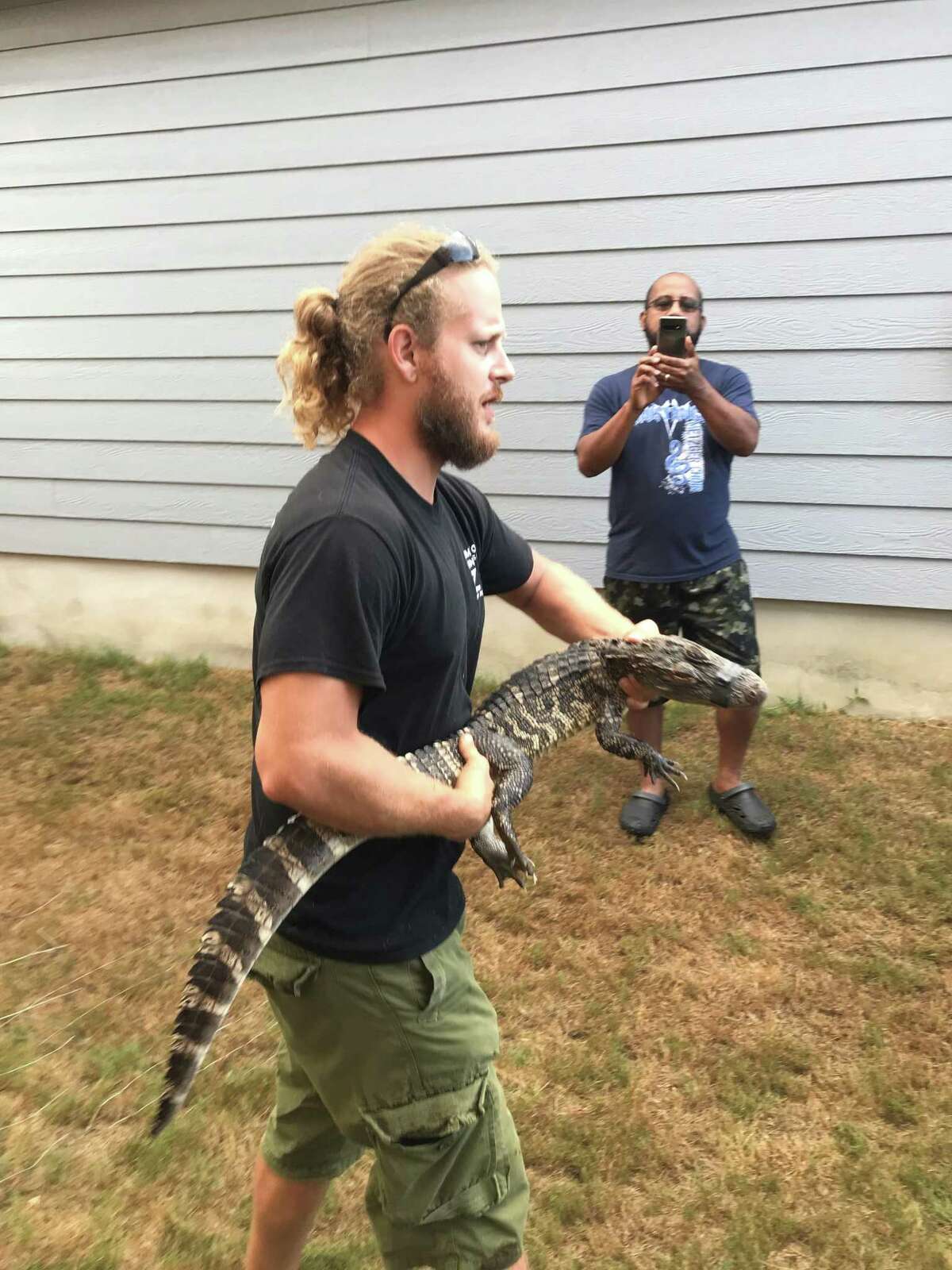 Reptile care specialist Caleb Harris of Animal World and Snake Farm Zoo takes firm hold of an alligator at a home on San Antonio's Southeast Side on Tuesday, Aug. 4, 2020.
