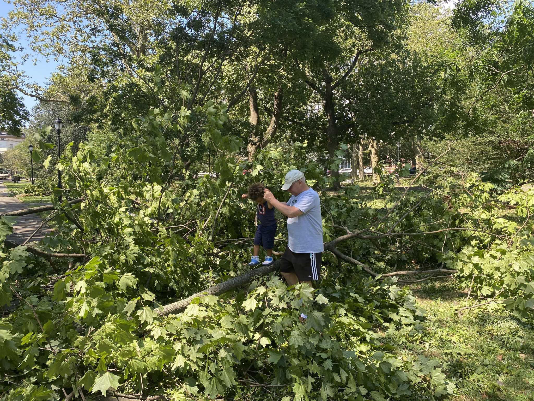 New Haven official: ‘Major’ citywide damage after Tropical Storm Isaias