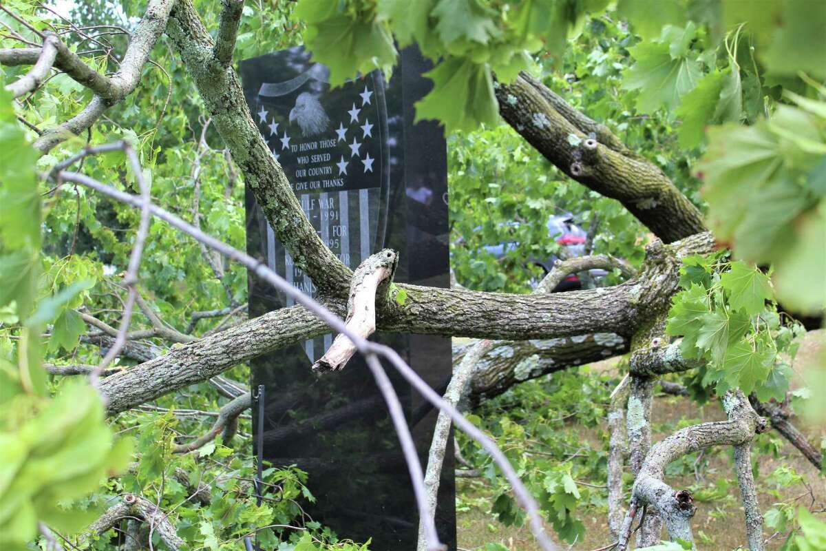 Two monuments on Veterans Green in Middletown narrowly escaped damage from two large trees which fell when Tropical Storm Isaias hit the city Tuesday afternoon.