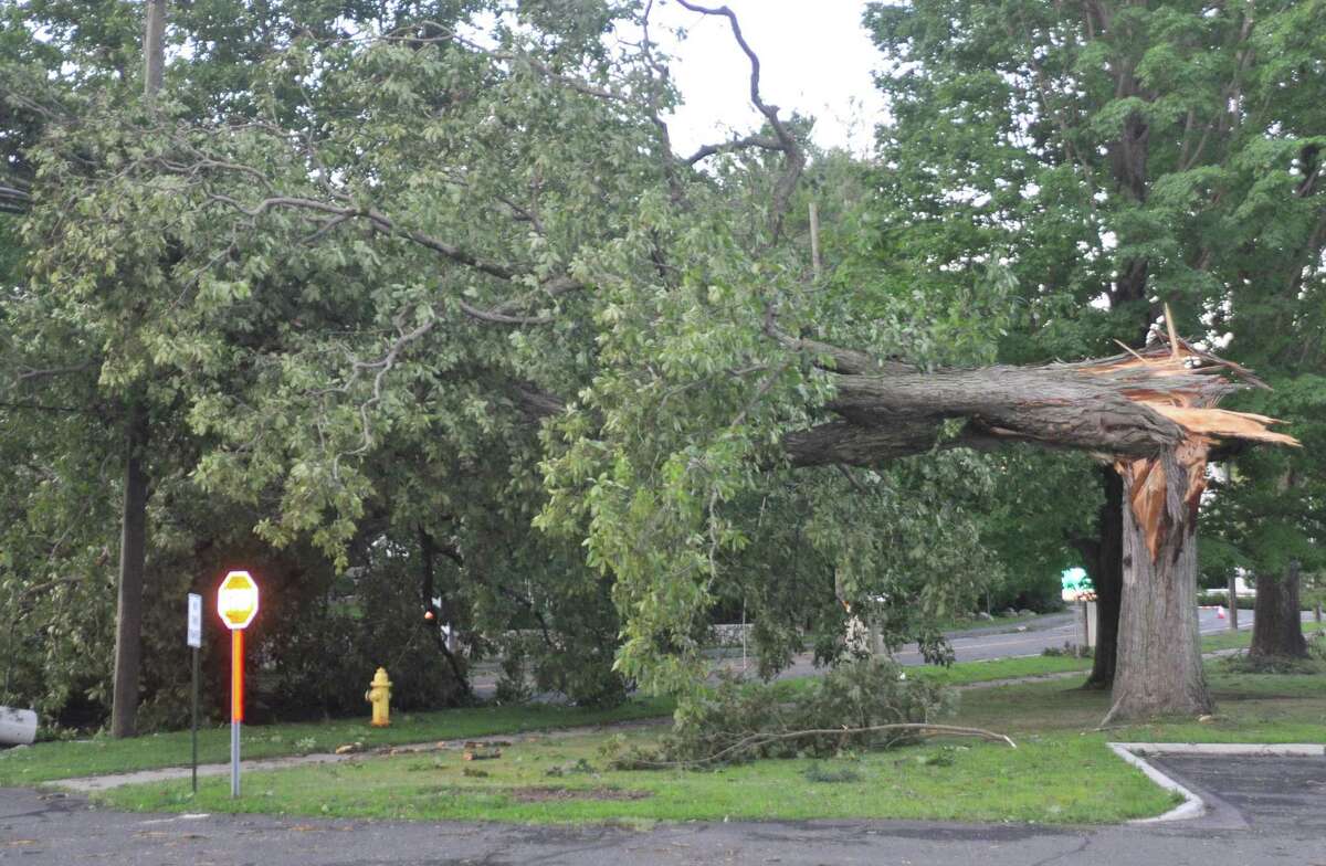 A tree trunk was splintered and the tree down across wires and West Lane near the fountain.