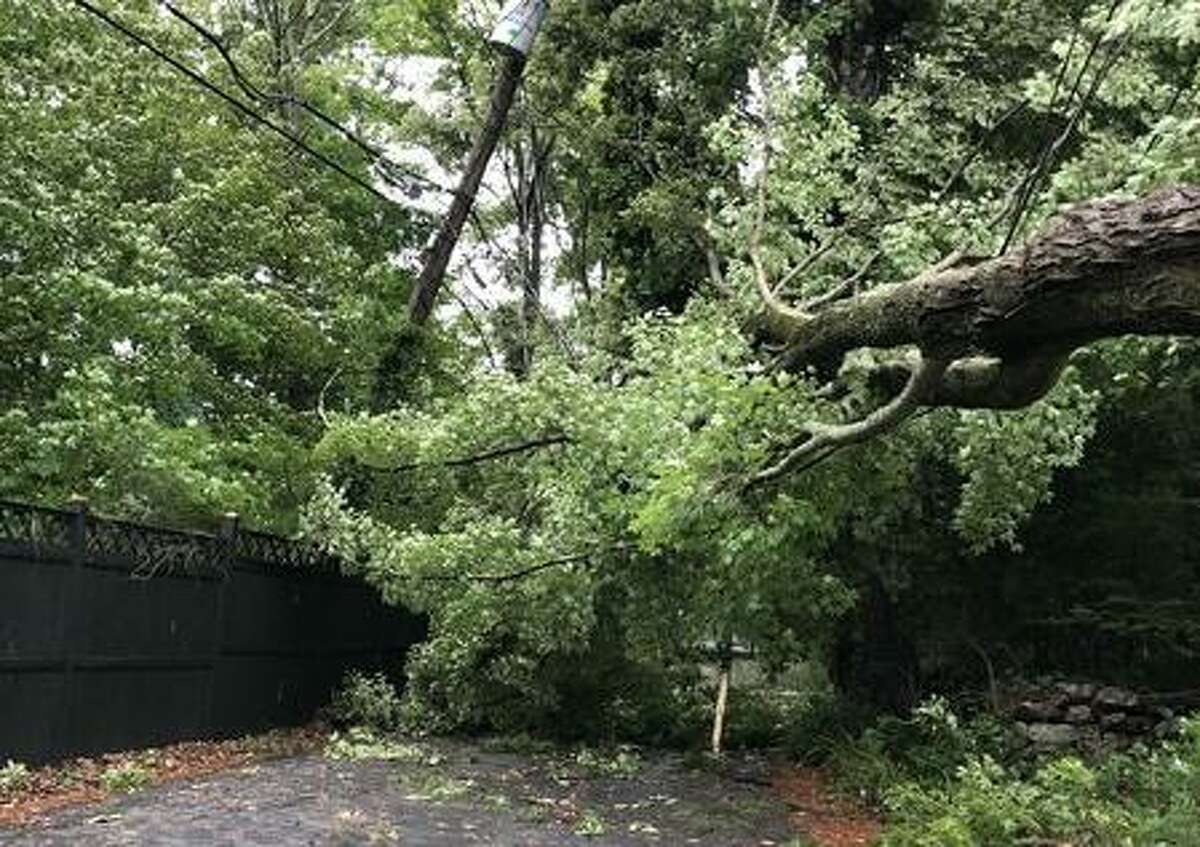 A photo posted on the SeeClickFix app shows a tree down on Trails End Road after Tropical Storm Isaias pummeled Wilton on Aug. 4.