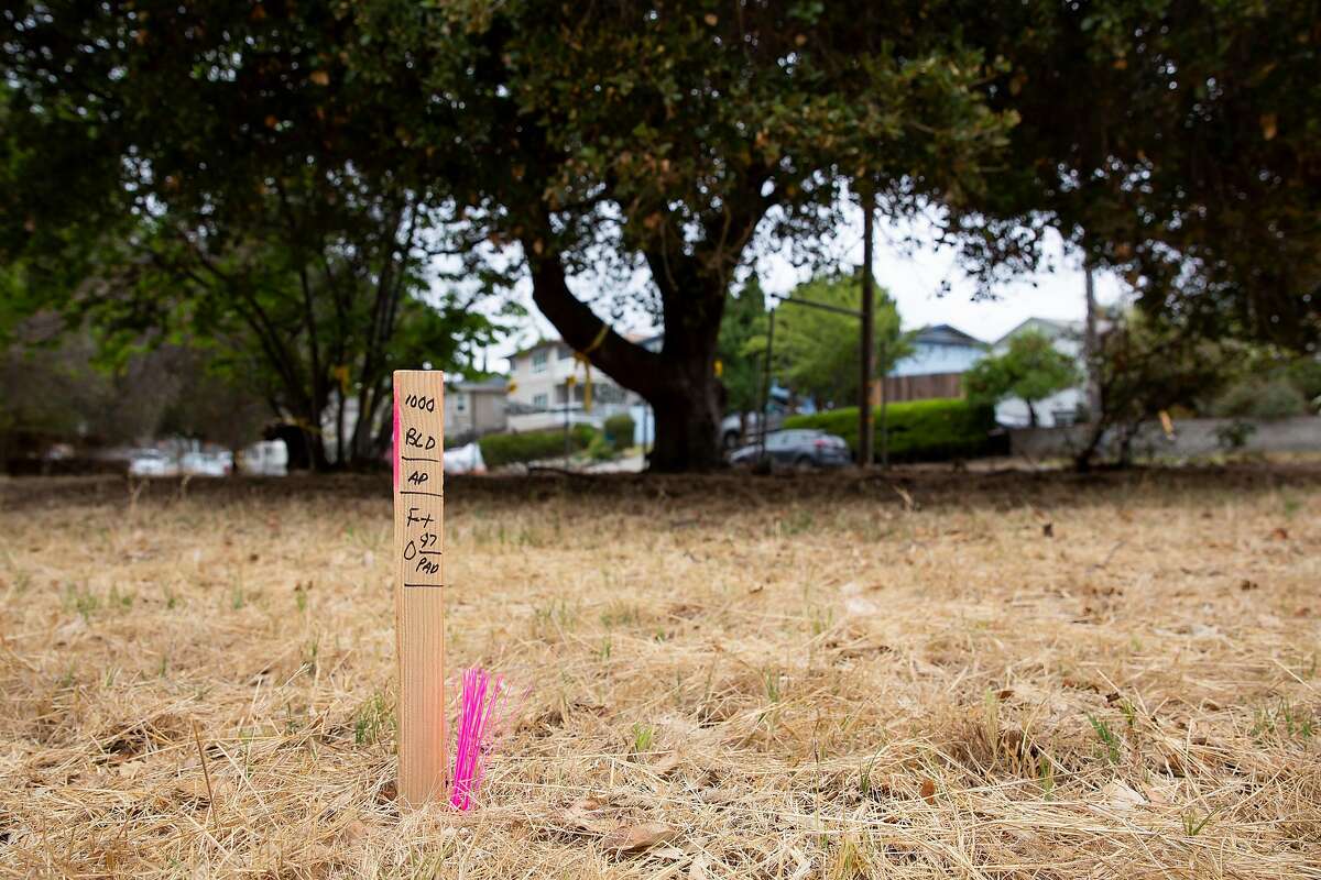 A survey stake marks the front corner of the building's footprint at the planned Eden Housing project site in Castro Valley, Calif. on Wednesday, Aug. 5, 2020. Just under 3 acres of the 6.24 acre plot owned by Eden Housing will be developed in an apartment complex with 72 units ranging from studios to 3 bedroom units.