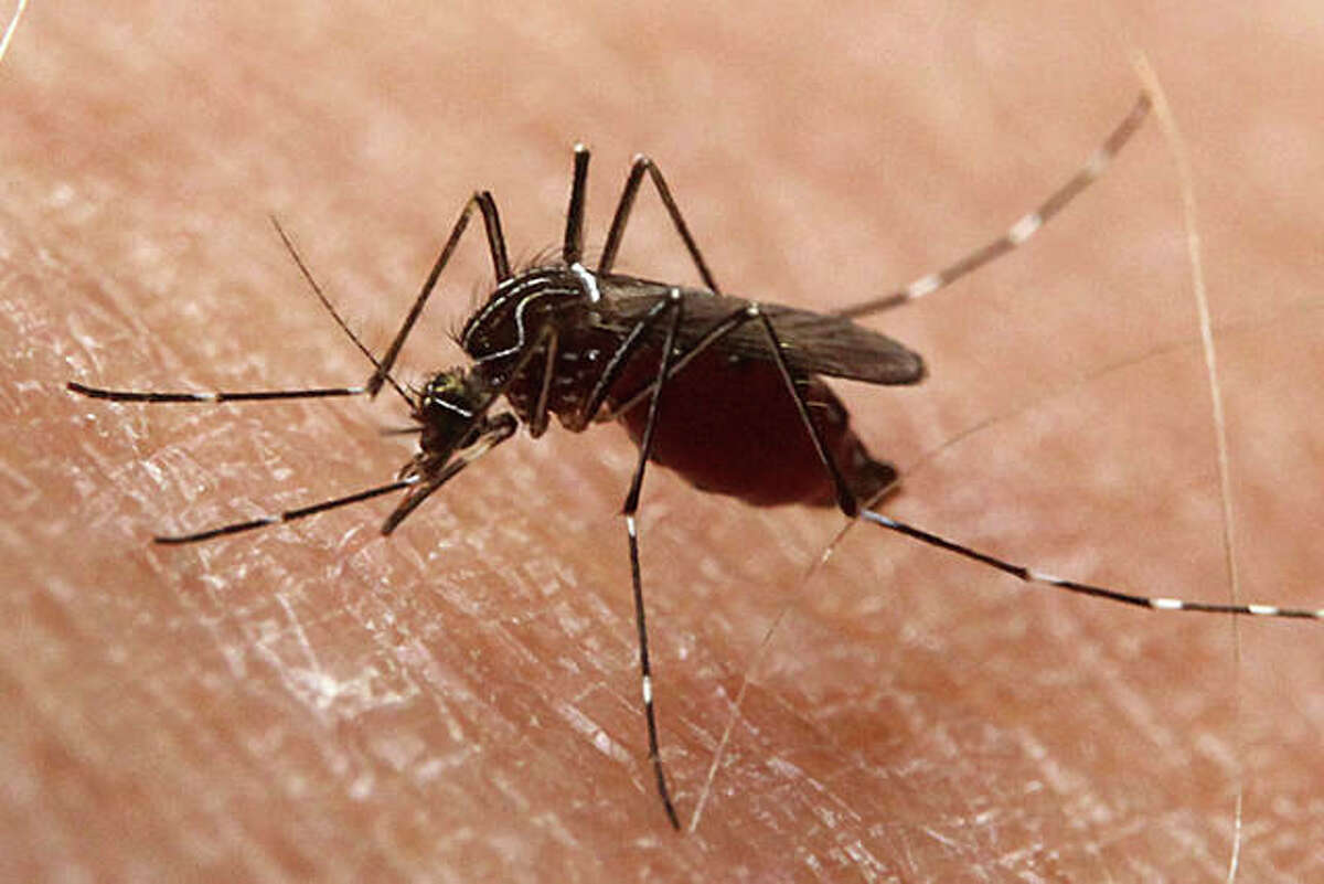 The first case of West Nile virus in a human this year in Illinois has claimed the life of a Cook County resident, the Illinois Department of Public Health said Tuesday.