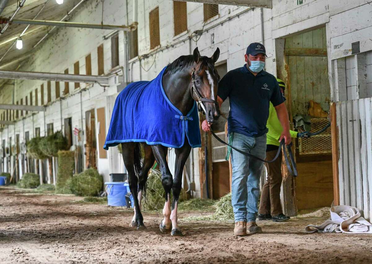 Max Player who is entered in Saturdays?• Runhappy Travers Stakes cools out after his morning exercise at the Saratoga Race Course Thursday Aug. 6, 2020 after arriving from Belmont yesterday in Saratoga Springs, N.Y. Photo by Skip Dickstein/Special to the Times Union