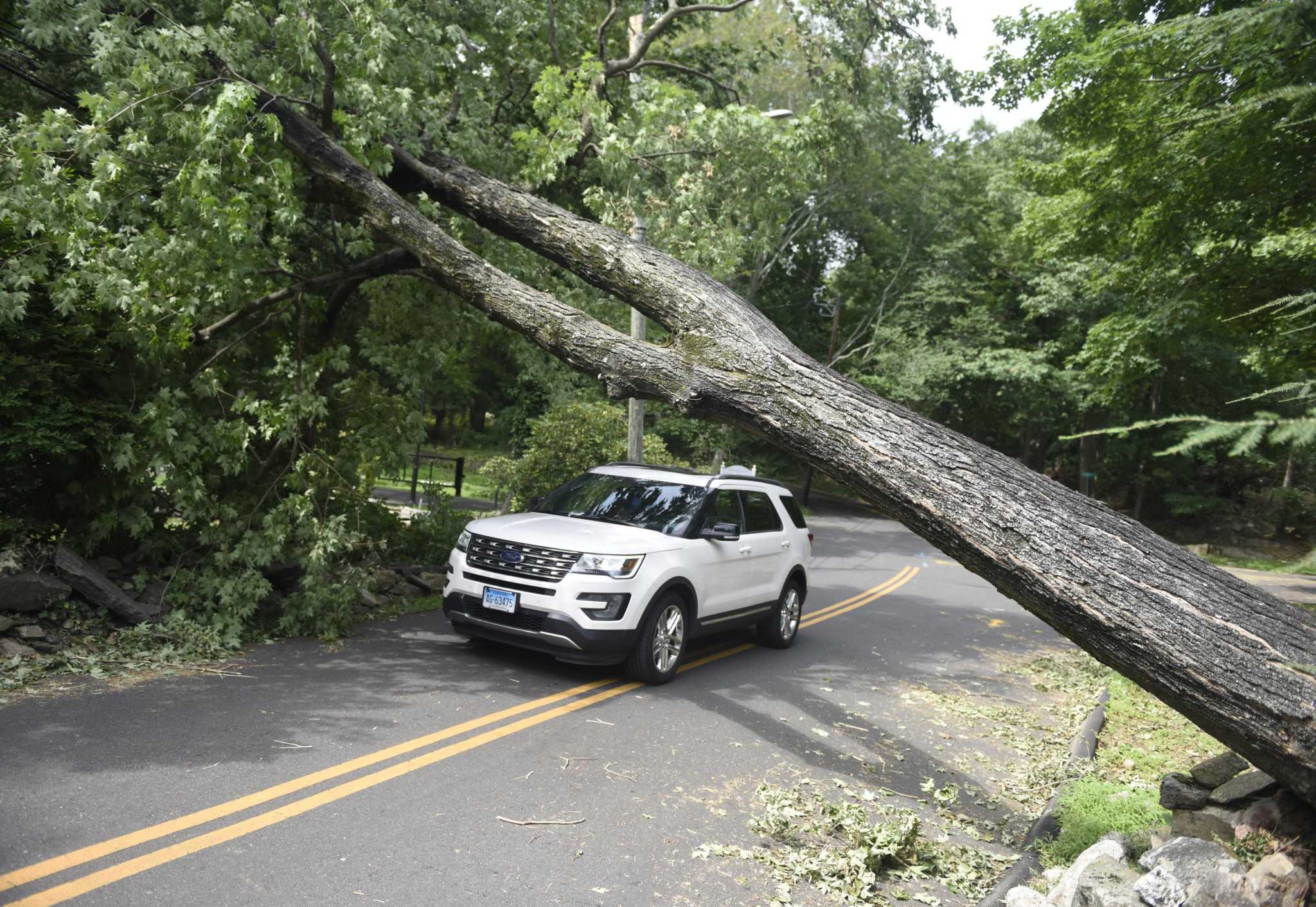 Official: Damaged power lines, trees still a danger in Greenwich