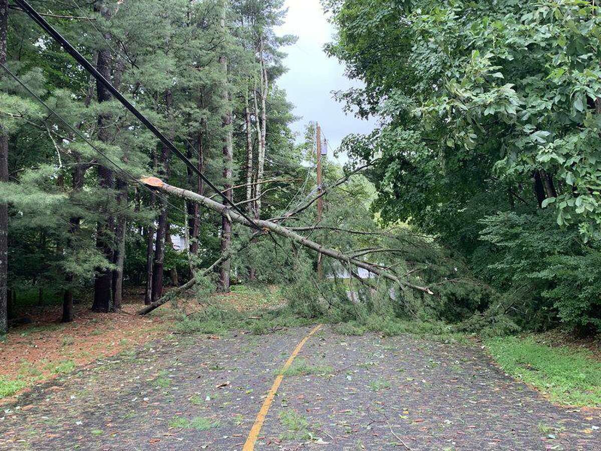 A resident of Rivergate Drive submitted this photo of a tree down through the SeeClickFix app.