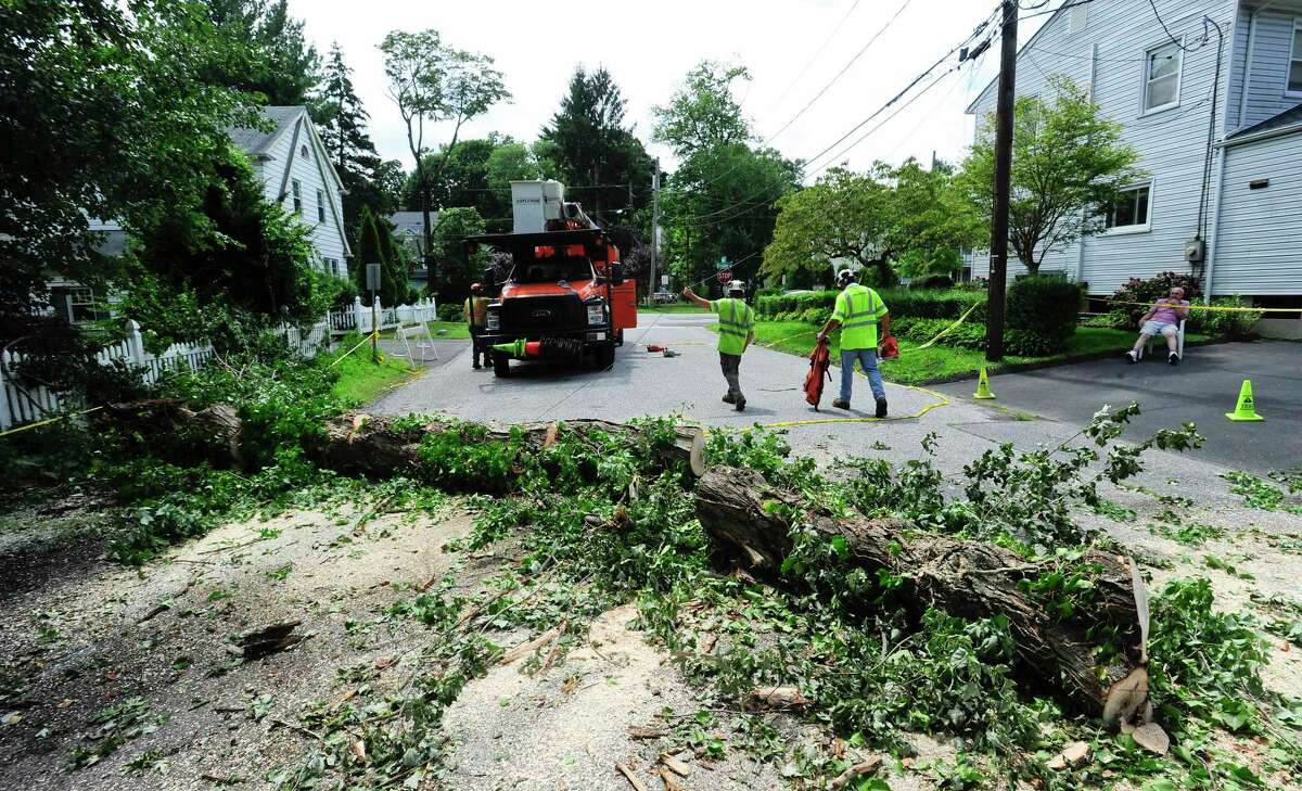 A tree service crew cut up a fallen tree on Frisbie Street on August 7, 2020 in Stamford, Connecticut.
