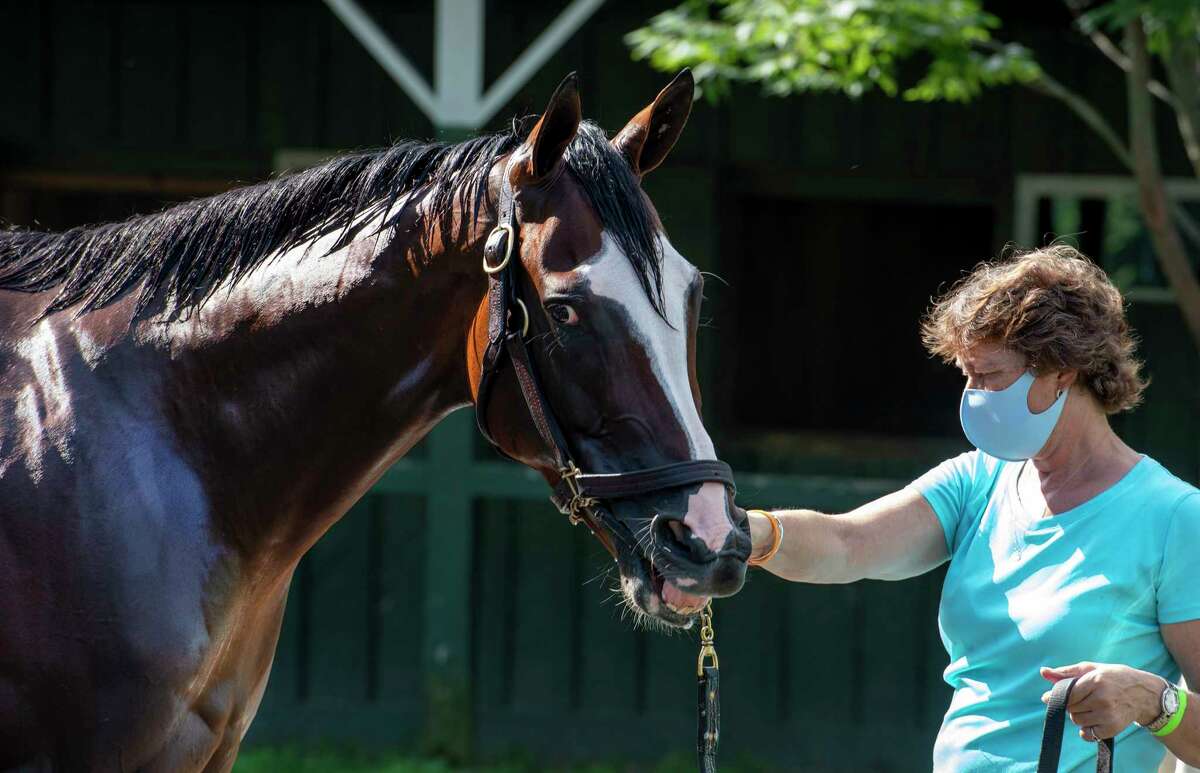 Assistant trainer for Barclay TaggA?•s racing stable Robin Smullen holds Travers Stakes winner Tiz the Law for his bath in the barn area at the Saratoga Race Course Sunday Aug.9, 2020 in Saratoga Springs, N.Y. Photo by Skip Dickstein/Special to the Times Union