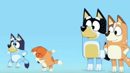Kids Show Bluey Makes Writer Envious Of Cartoon Dogs Ctinsider Com