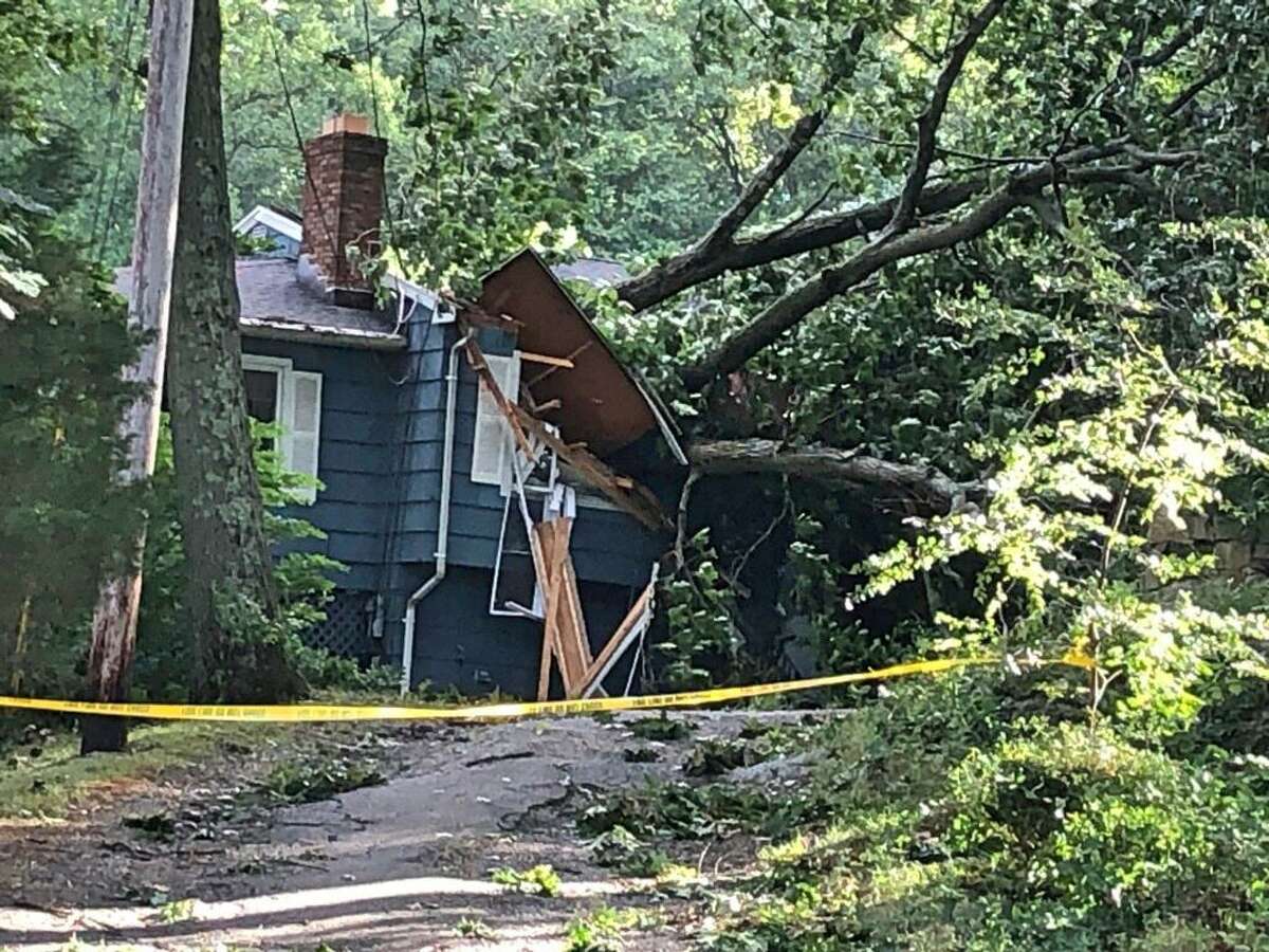 Shelton firefighters rescued a family of four from the second floor of their house after a large tree crashed through the roof.