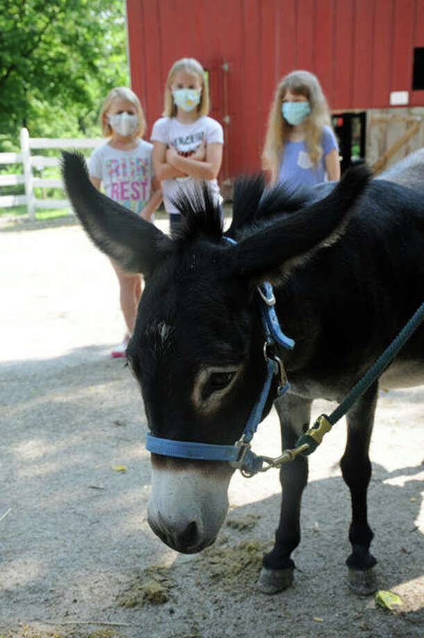 Horse Sense Pony Program Teaches Animal Care Ecology Alton Telegraph