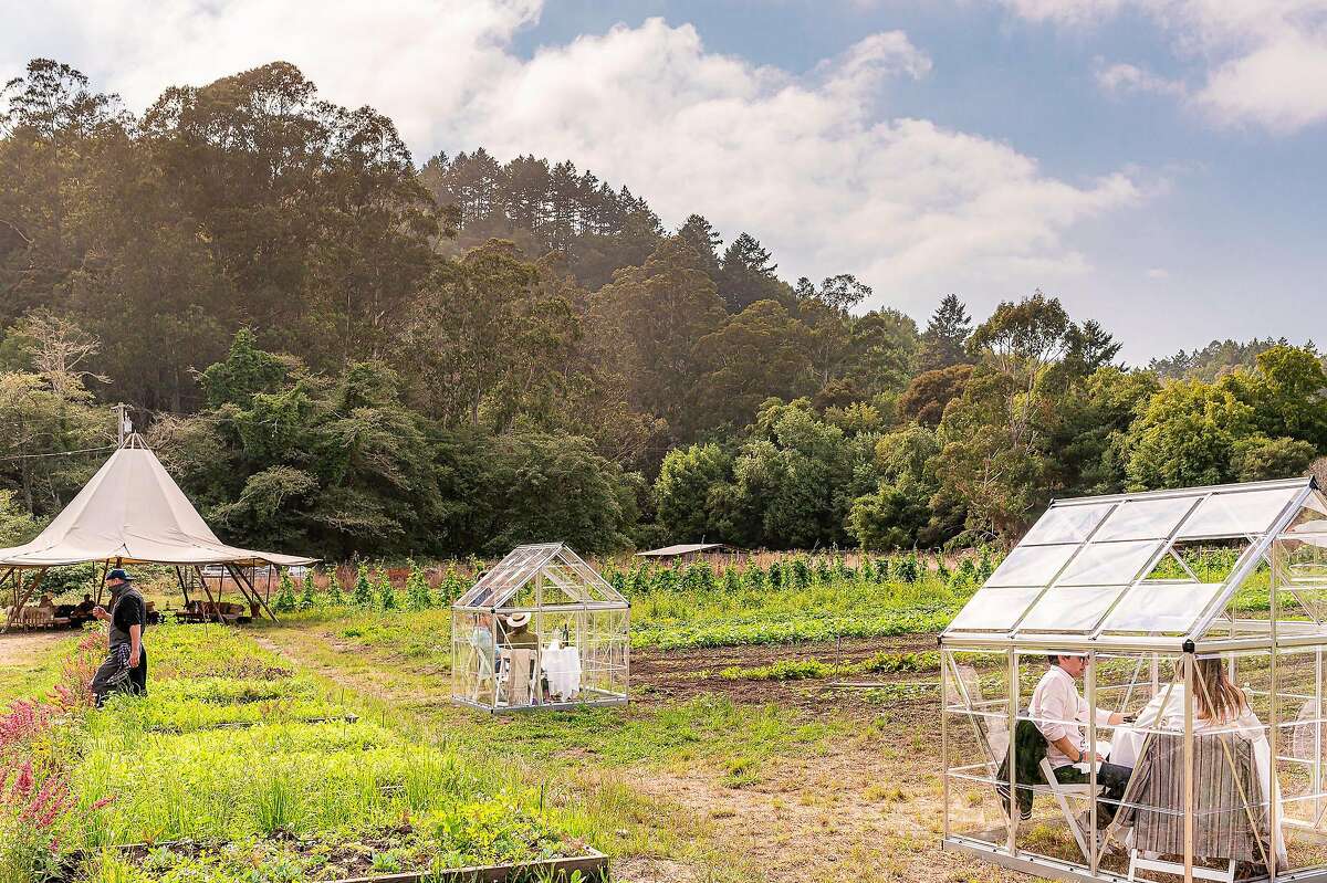 Diners sit in small greenhouses for San Francisco three Michelin-starred restaurant Quince's lunch series at Fresh Run Farm in Bolinas.