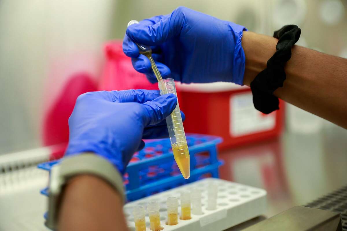 Lab coordinator Gabriella Green pipettes plasma into vials at Bridge HIV on Wednesday, Aug. 12, 2020 in San Francisco, California.