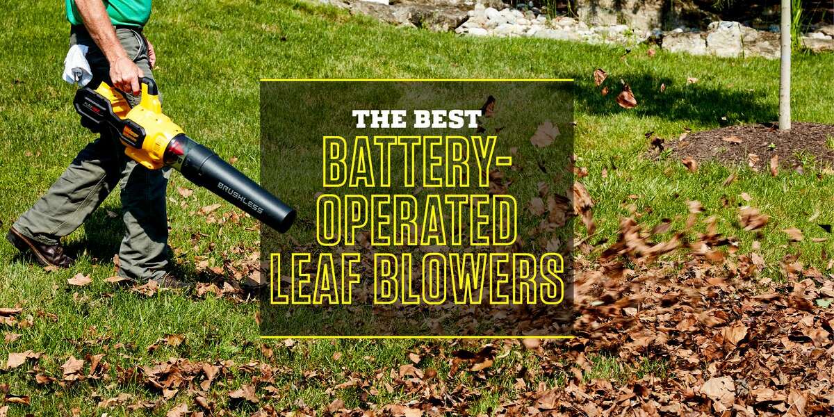 Best Battery Leaf Blowers