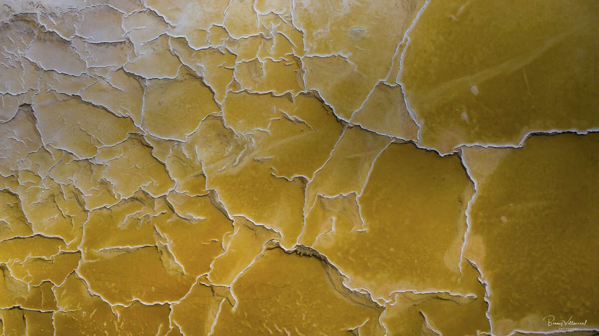 Dried up salt ponds appear an almost unnatural neon yellow from above, revealing stunningly barren landscape.