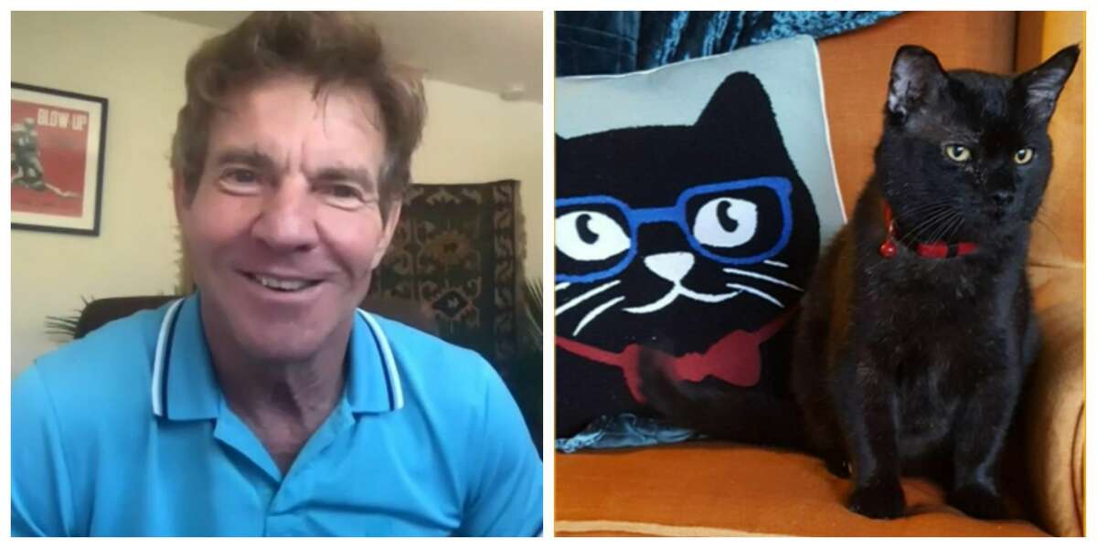 Houston's Dennis Quaid just adopted a furry friend of the same name from the Lynchburg Humane Society in Virginia.