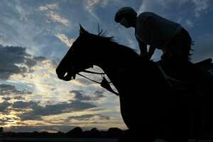N.Y. lab losing battle of doping in horse racing’s ‘cat and mouse game’