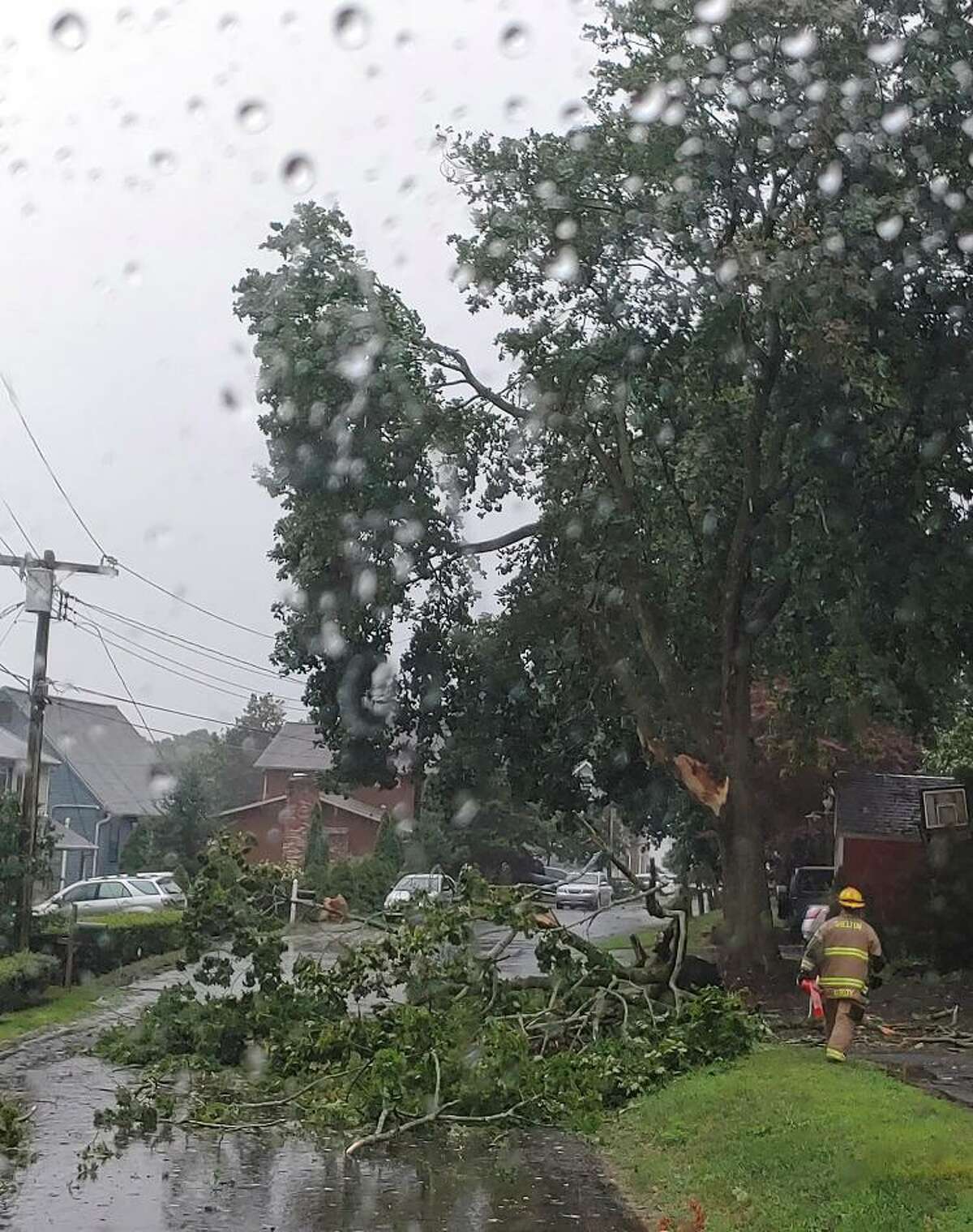 Tropical Storm Isaisis ravaged the state Aug. 4, knocking down trees, power lines and leaving thousands without power.