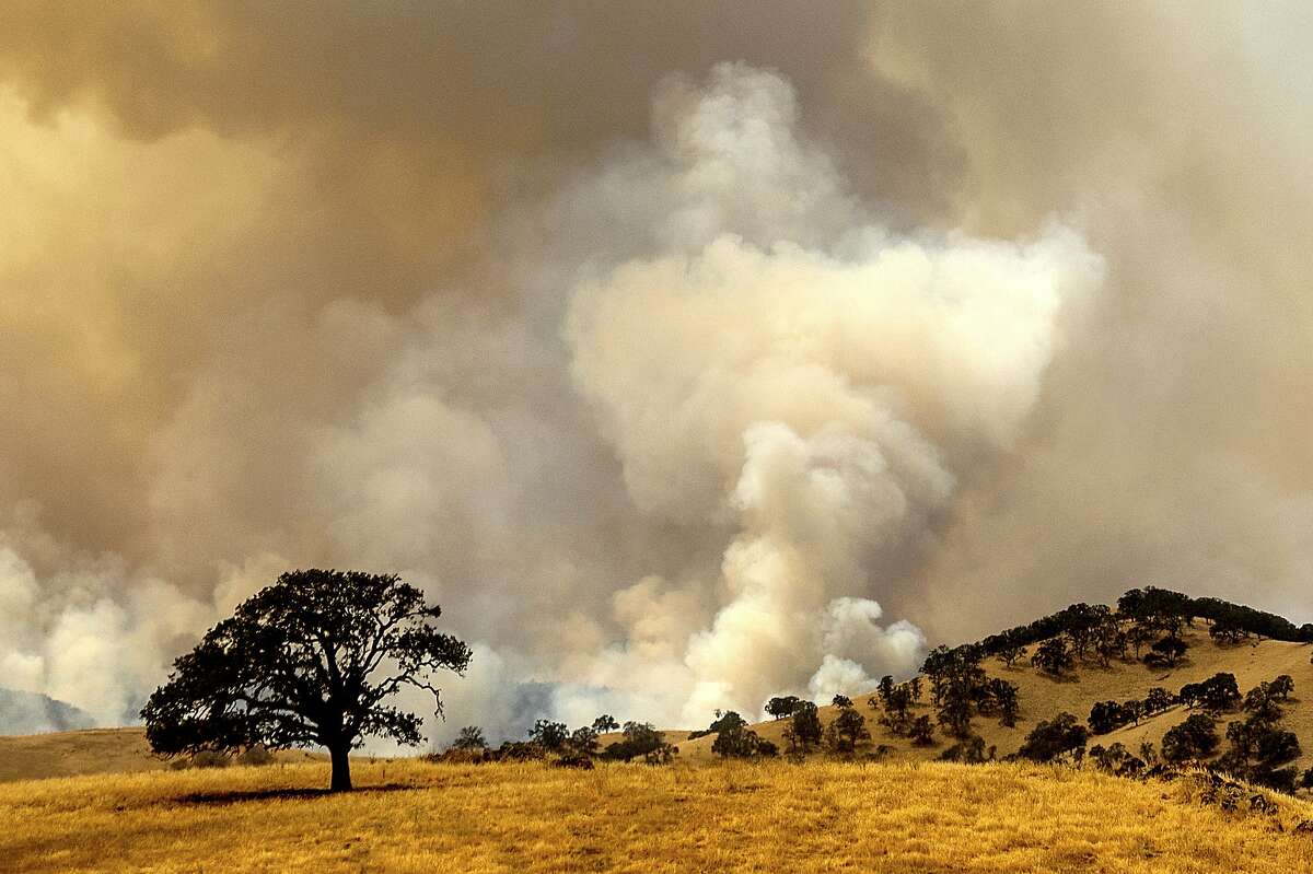 Smoke from a wildfire, one of several that comprise the Deer Zone fires, billows over unincorporated Contra Costa County, Calif., on Sunday, Aug. 16, 2020. Firefighters scrambled to contain multiple blazes, sparked by widespread lightning strikes throughout the region, as a statewide heat wave continues. (AP Photo/Noah Berger)