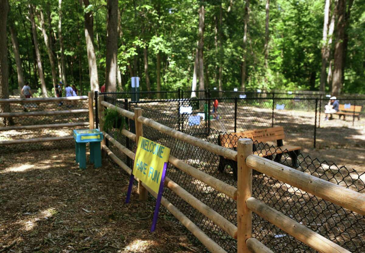 Photos: Canines play at new Stratford dog park