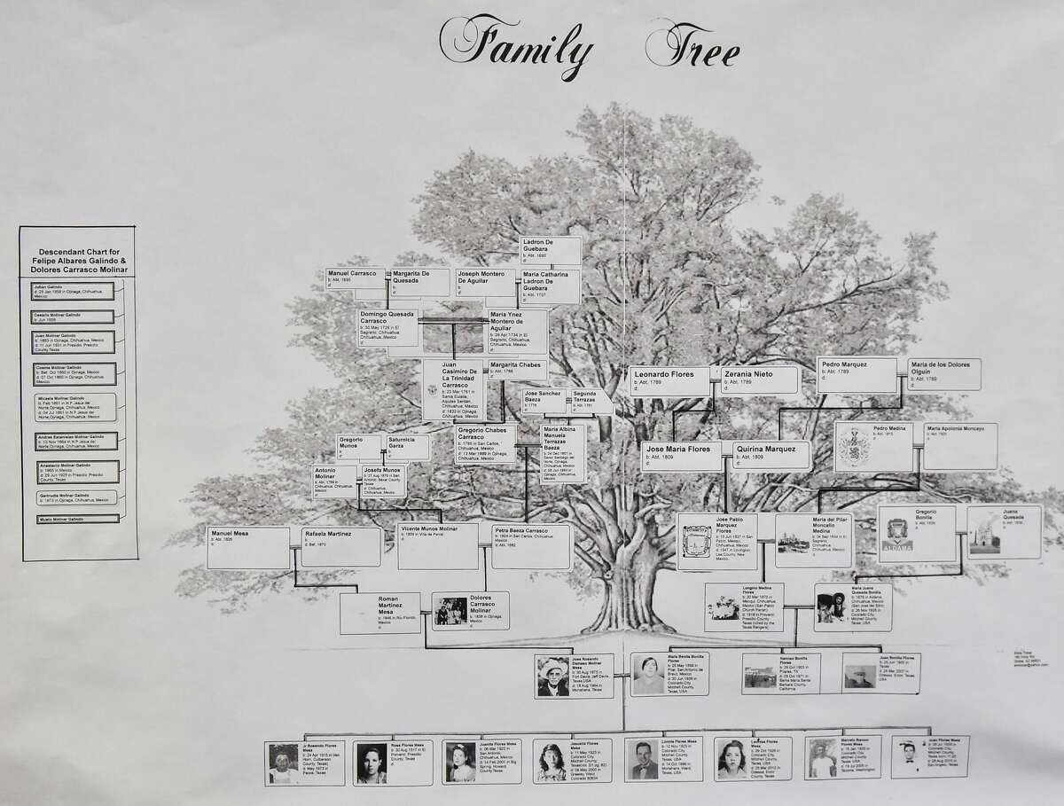 Through September, Ancestry.com is available to patrons from home with their Wilton Library card.
