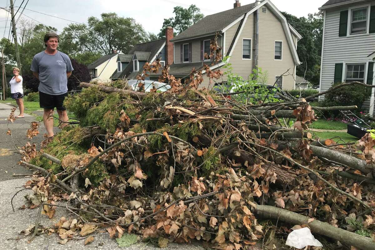 Policy on tree debris pickup leaves Stamford residents confused