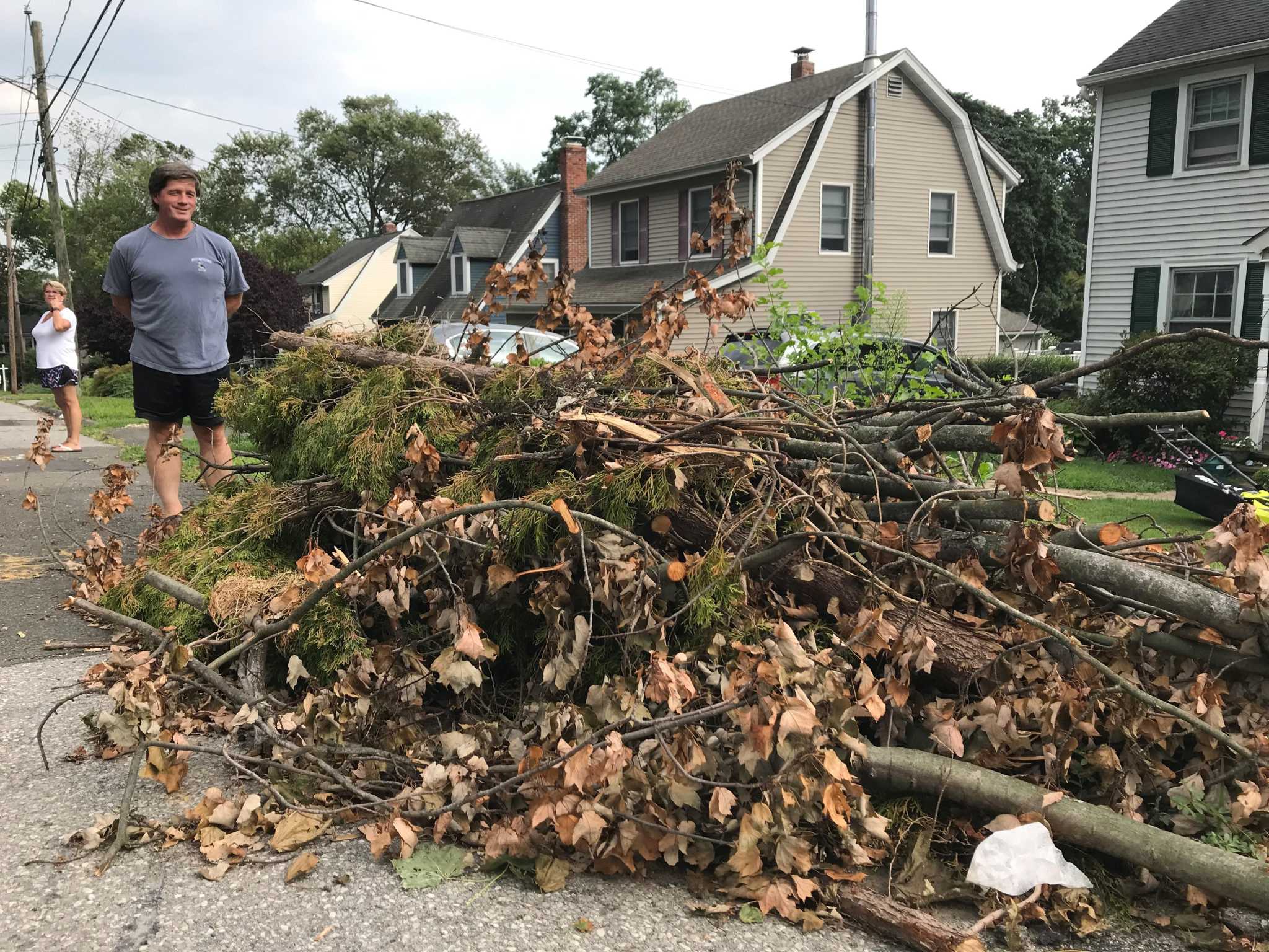 Policy on tree debris pickup leaves Stamford residents confused