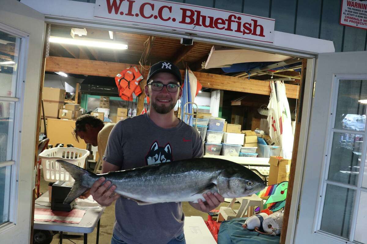 Greatest Bluefish Tournament On Earth 2022