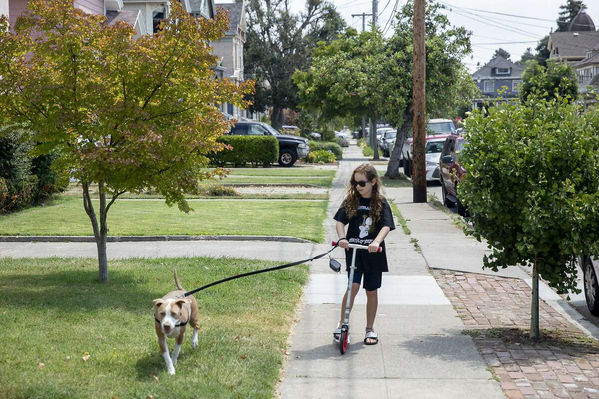 10岁的齐克·西蒙斯(Zeke Simmons)让他的狗“泡泡”(Bubbles)拉着他在阿拉米达(Alameda)的家外面骑滑板车。