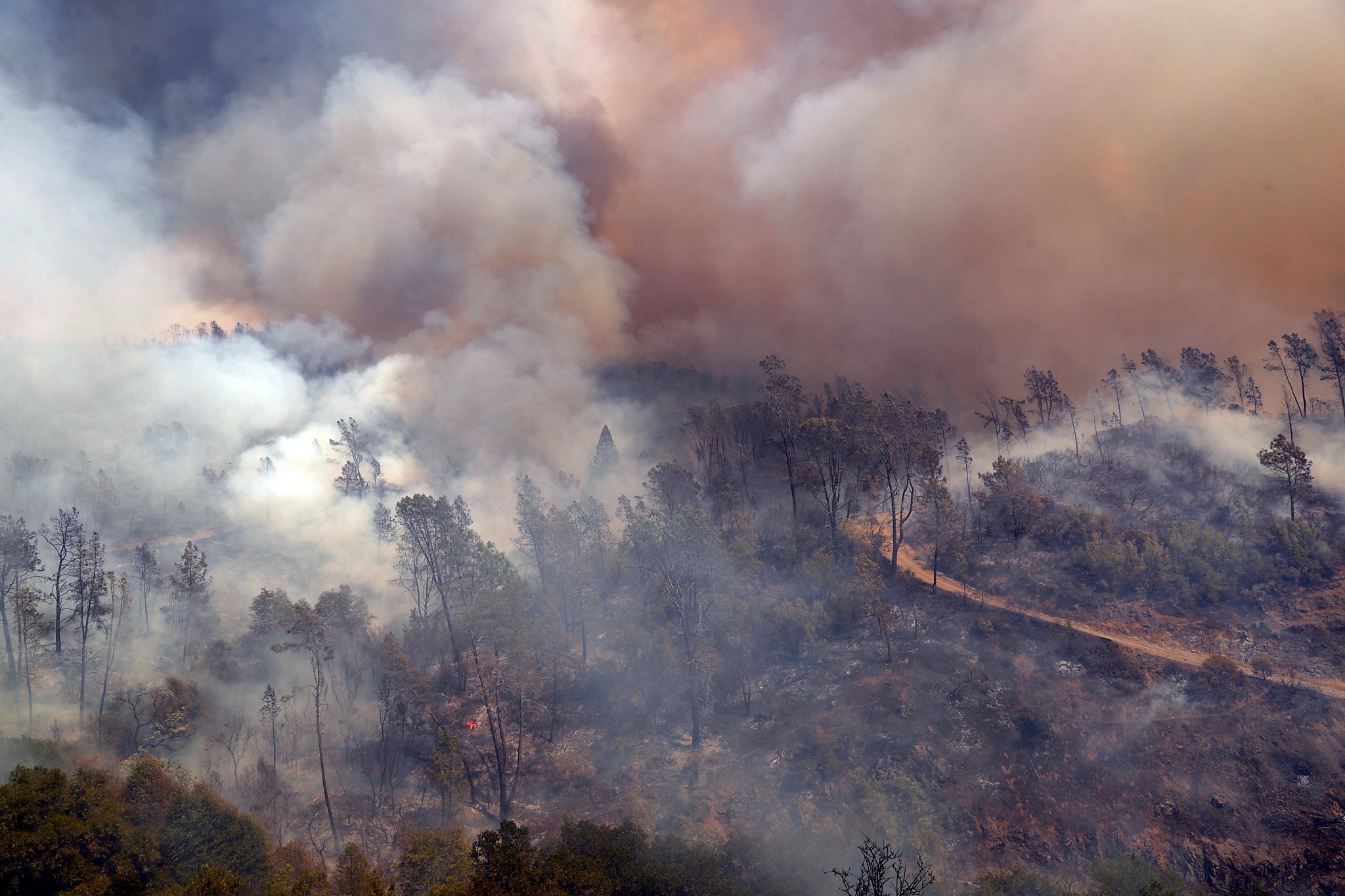 Google launches wildfire mapping on Search and Maps