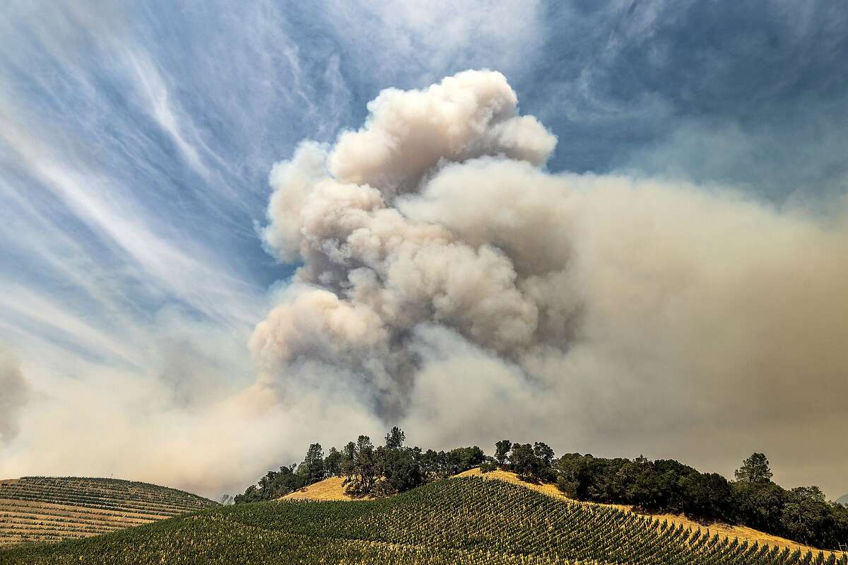A plume rises over a vineyard in unincorporated Napa County as the Hennessey Fire burns on Tuesday, Aug. 18, 2020. Fire crews across the region scrambled to contain dozens of blazes sparked by lightning strikes as a statewide heat wave continues. (AP Photo/Noah Berger)