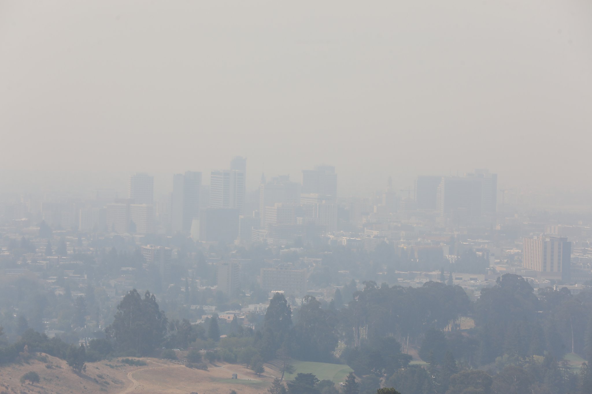 Wildfire Smoke Chokes Bay Area Creating Worst Air Quality In The World