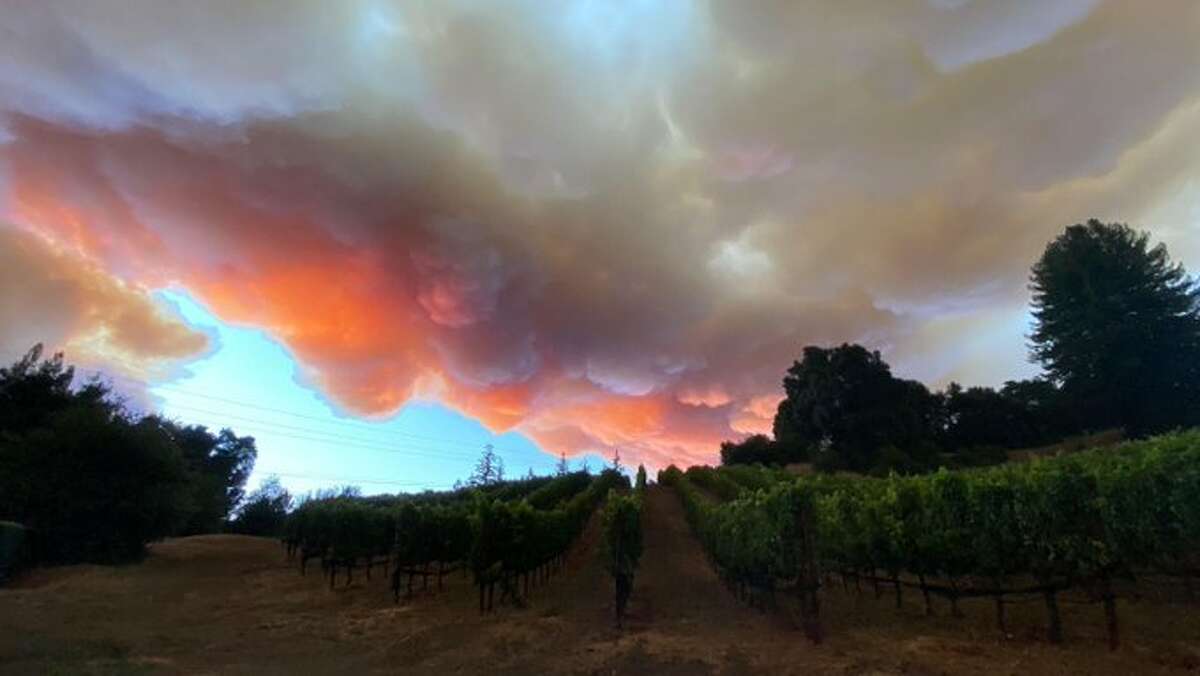 Smoke clouds from the nearby CZU Lightning Complex Fire fill the sky near Big Basin Vineyards in Saratoga, Calif. on Aug. 18, 2020.