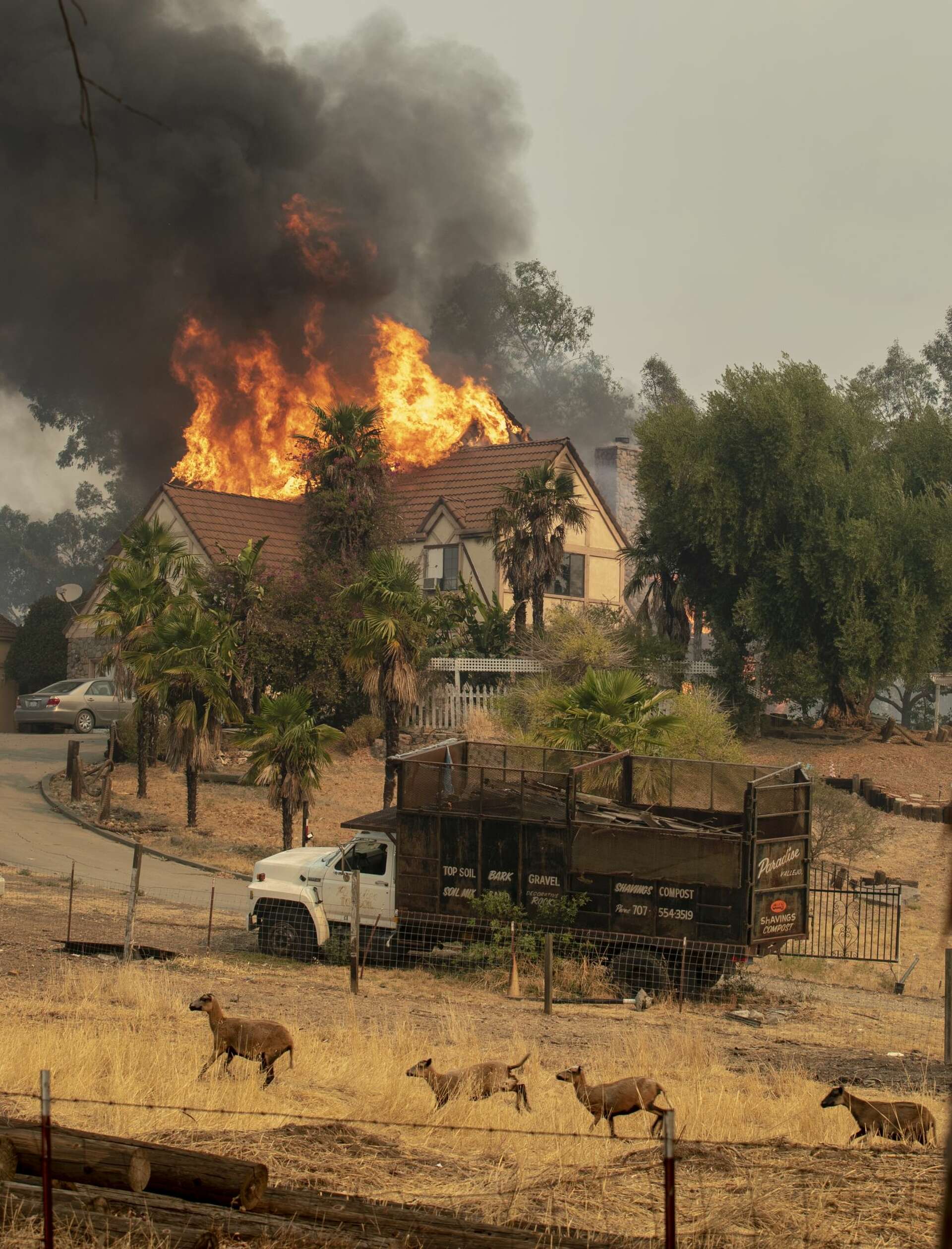 LNU Lightning Complex: 4 deaths reported, including PG&E worker