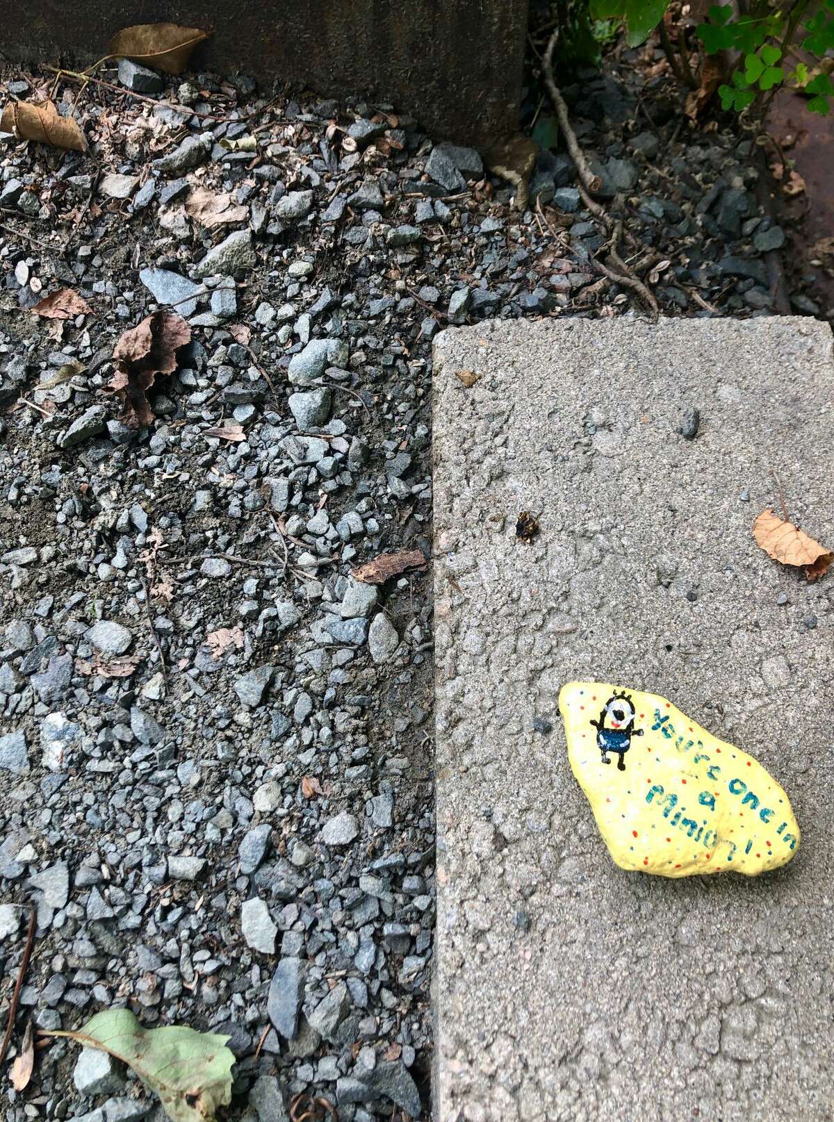 While walking along River Road and through Schenck's Island Park, Nancy McTague-Stock came across a series of inspirational stones. "Love that kids are helping everyone look on the bright side!" she said. Wilton, Conn., Aug. 2020