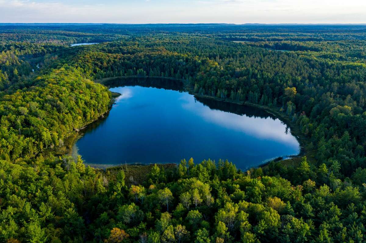 The Lower Woodcock Lake Preserve is 230 acres on undeveloped property featuring a mix of northern hardwood forest, conifer swamp and pine plantation.