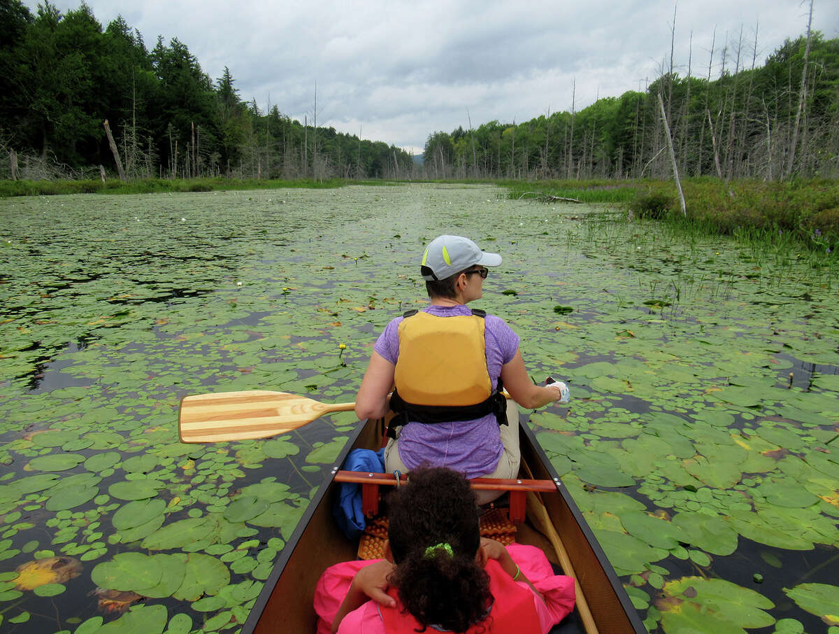 Water lillies greet paddlers Gillian Scott and her daughter between Fifth and Sixth Lake in the Essex Chain. (Herb Terns / Times Union)
