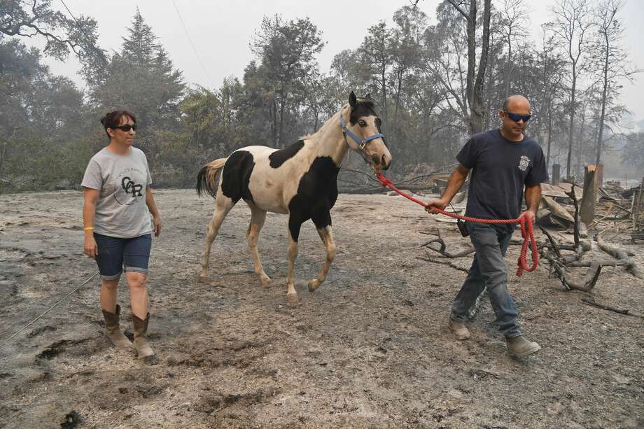 Chris Reiter, of Vacaville, left, walks with her husband, Chris Garcia, as he leads a horse to safety on Pleasants Valley in Vacaville, Calif., on Thursday, Aug. 20, 2020. Garcia lives down the road and their son knew the owners of the horse and wanted to make sure it was okay. The LNU Lightning Complex fires began in Napa and Sonoma counties and have traveled into Solano, Lake and Yolo counties while burning more than 200 square miles. Photo: Jose Carlos Fajardo/Associated Press / @BAY AREA NEWS GROUP 2020
