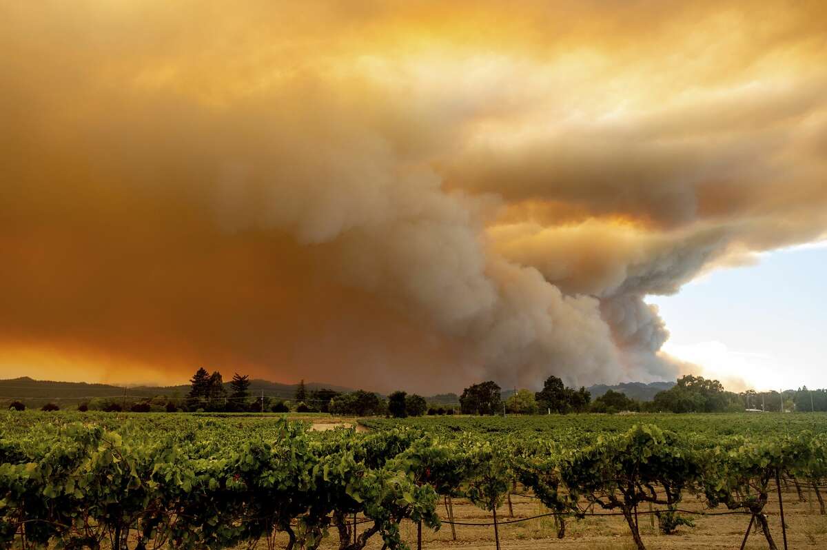 A plume billows over Healdsburg, Calif., as the LNU Lightning Complex fires burn on Thursday, Aug. 20, 2020. Fire crews across the region scrambled to contain dozens of wildfires sparked by lightning strikes.