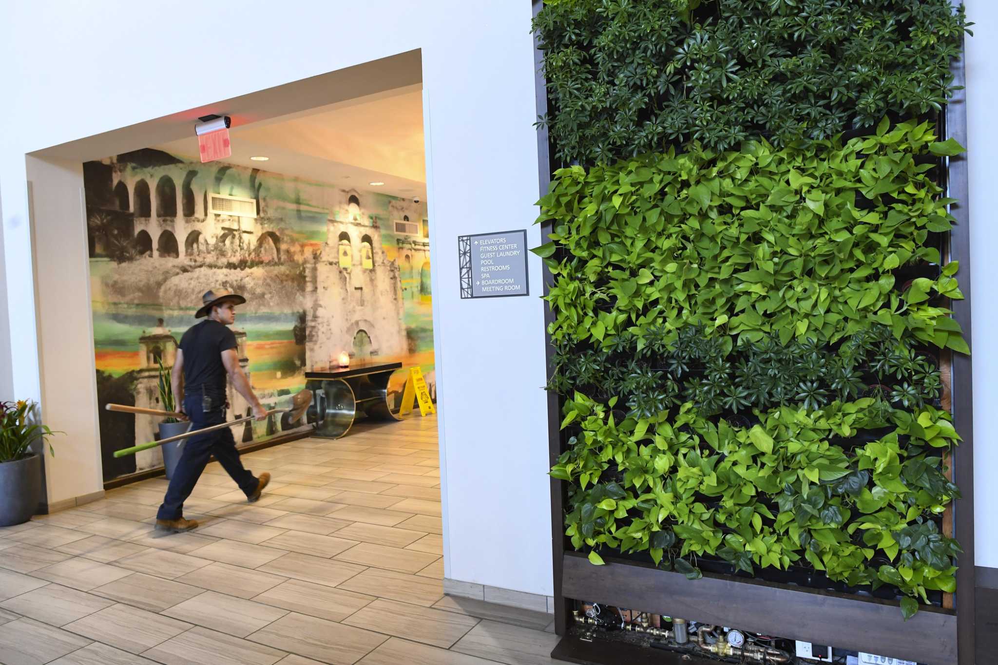 Green walls covered with plants can have moodboosting, stressreducing