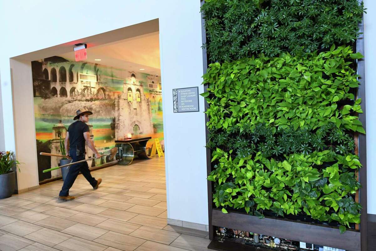 While large green wall systems like this one are popular in commercial properties, home installations are usually much smaller.