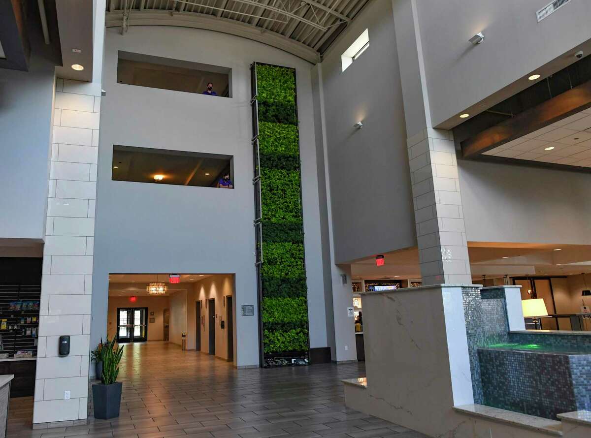 This green wall, which consists of schefflera and neon pothos, is located in the lobby of the Embassy Suites at Brooks City Base.