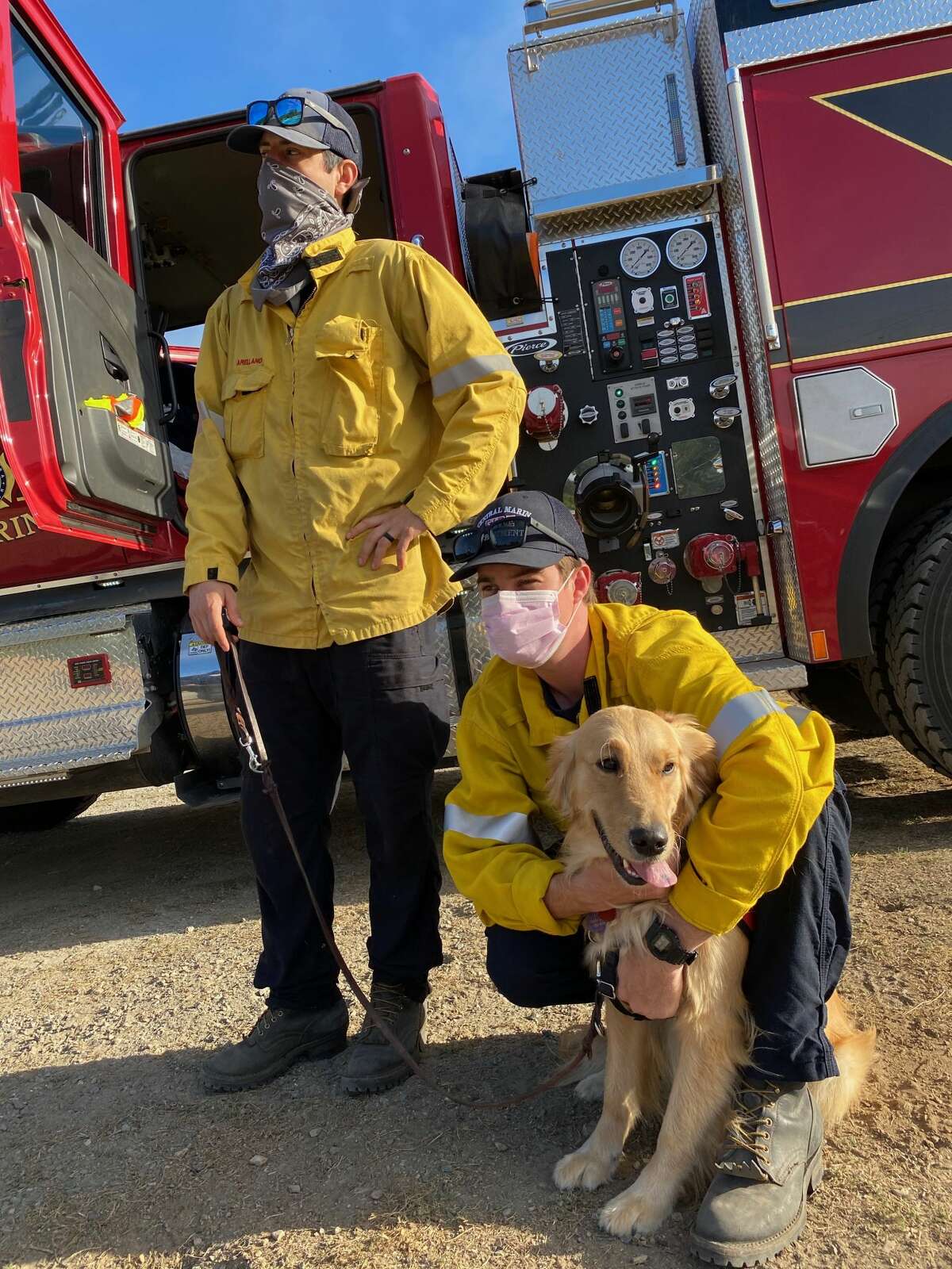 Kerith says hello to firefighters at the staging area of the Woodward Fire. She is a pet therapy dog popular among the firefighters in Marin County.