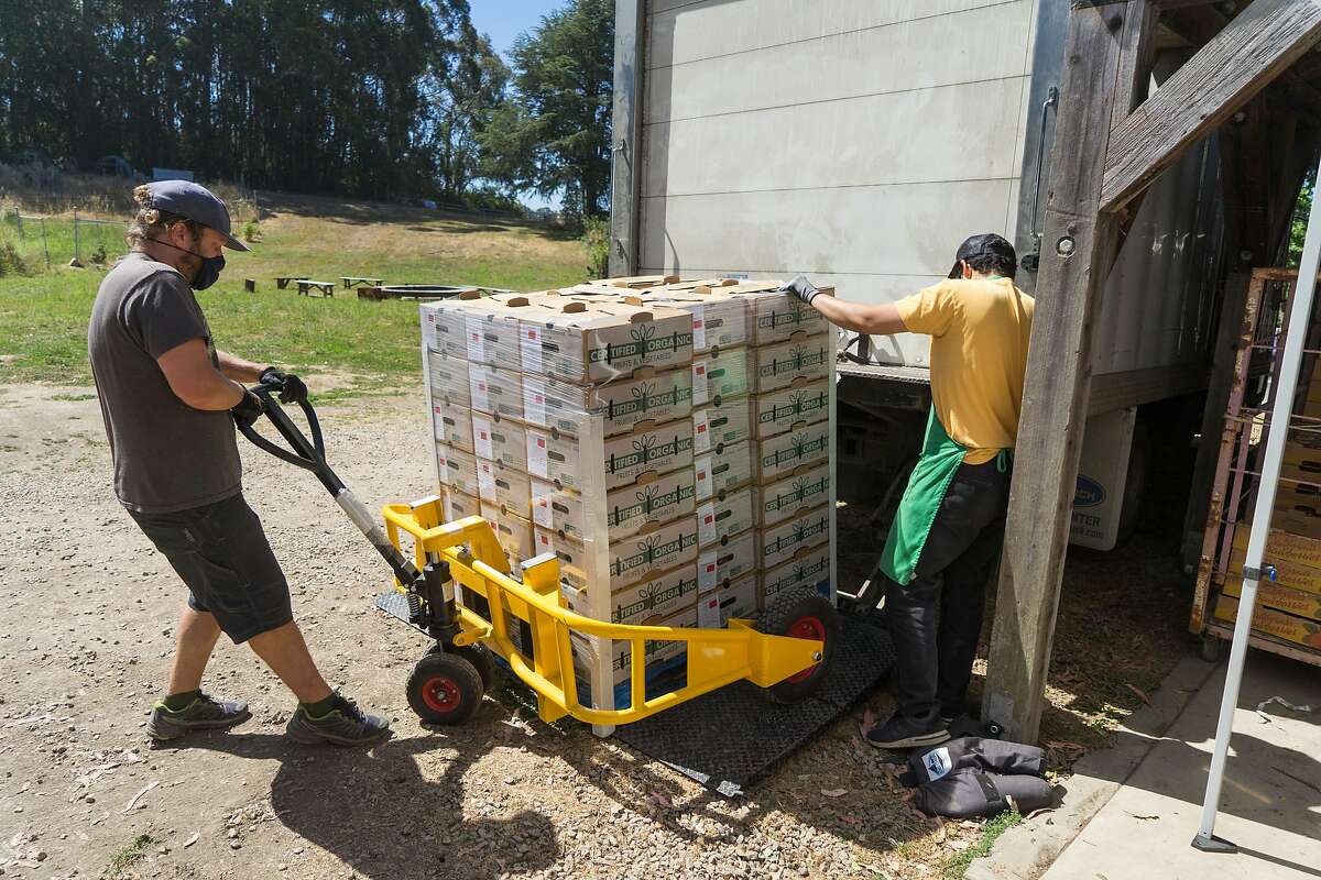 Adam Center, left, and Christopher Naranjo load CSA boxes into a truck Pie Ranch in Pescadero, Calif. on Wednesday, June 17, 2020. Farms that normally sell their produce to restaurants are instead distributing their food to low-income families through CSA boxes.