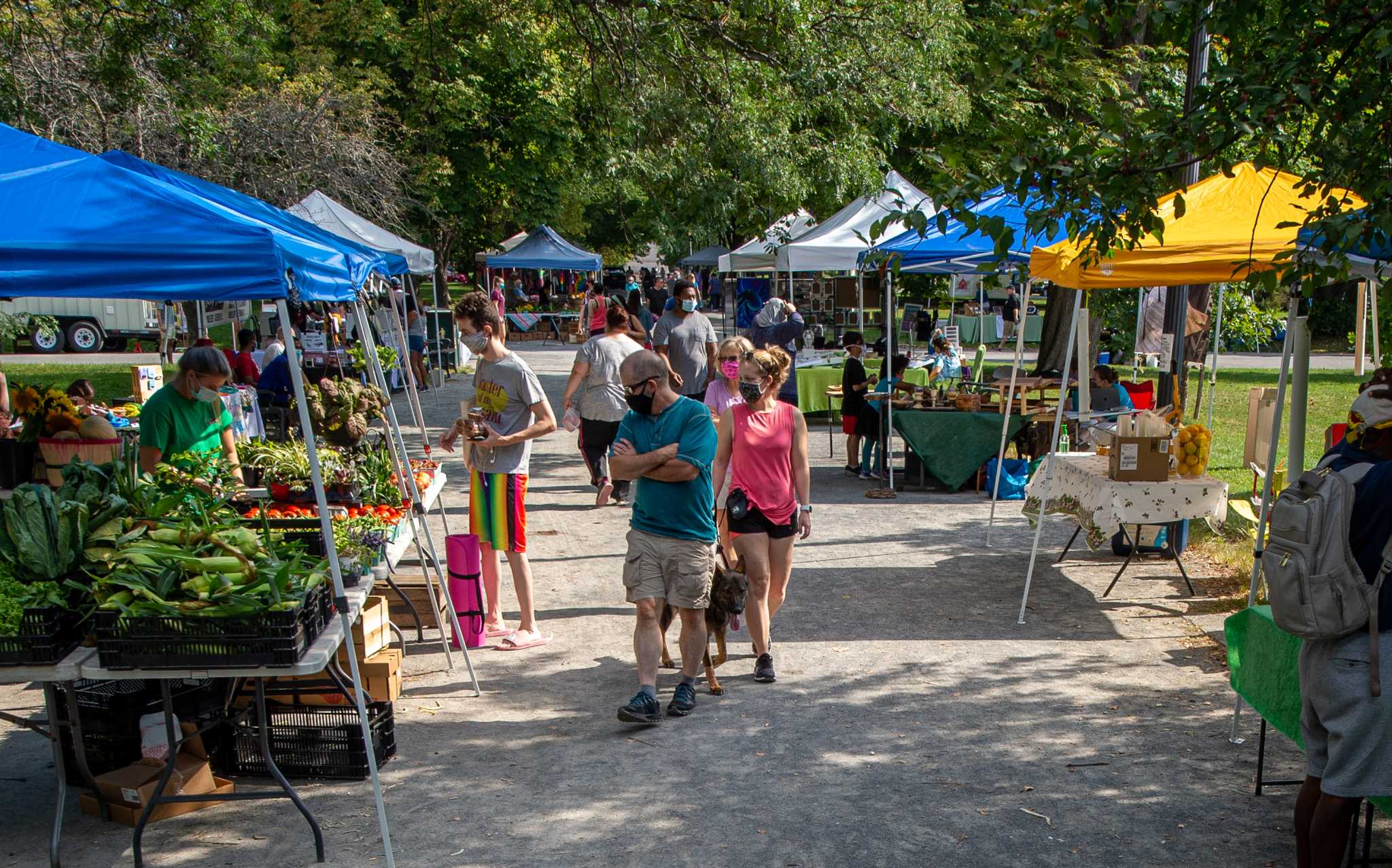 Albany, Guilderland farmers markets launch this weekend - Vimarsana News