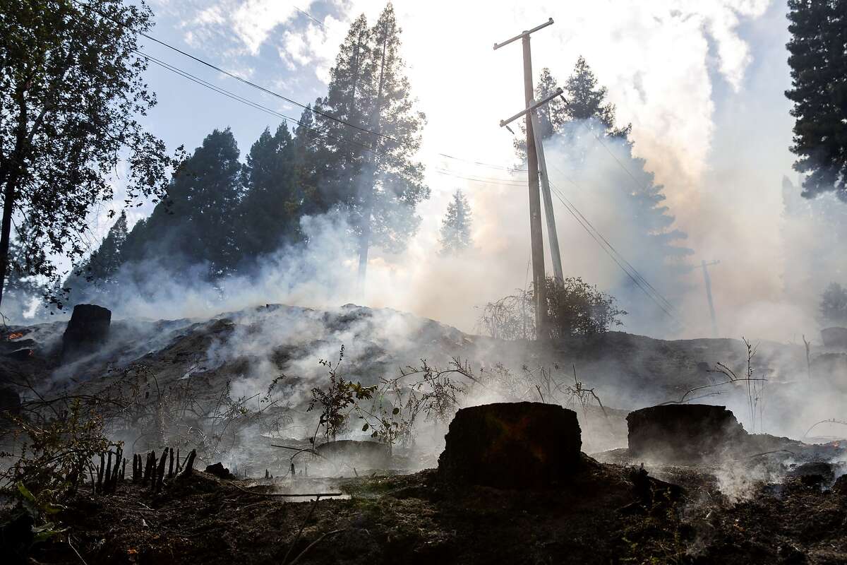 ‘Smoke taint’ on grapes may mean almost no wine to make in 2020 for one