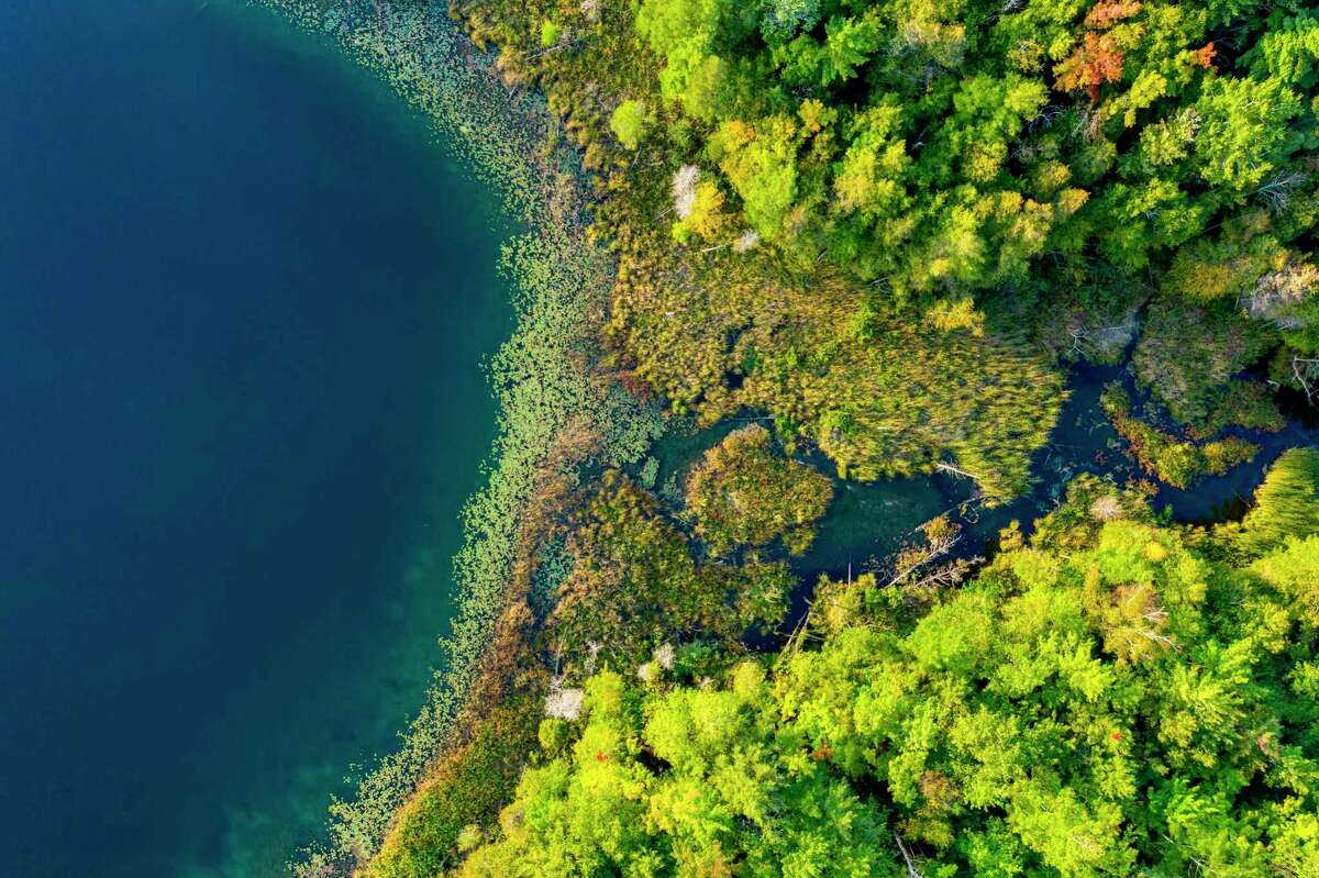 Lower Woodcock Lake Preserve opens to the public