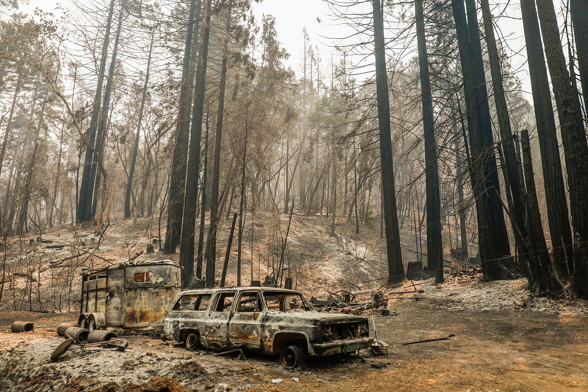 700 Blazes. 1.6 Million Acres Burned. Can Fire-scarred California Catch ...